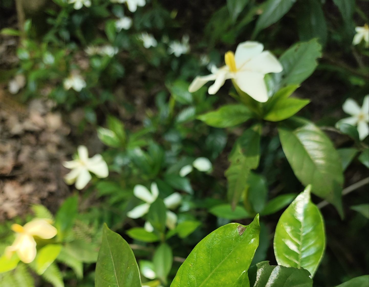 六一儿童节的慰问信精选