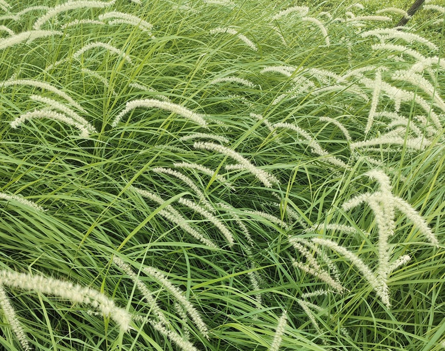 高考加油祝福语集锦